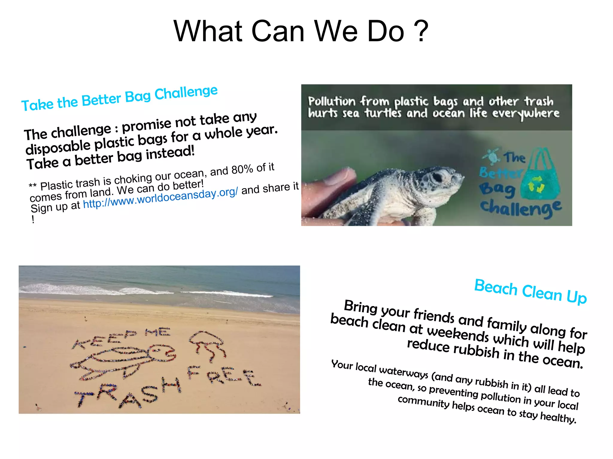 What Can We Do ?
Take the Better Bag Challenge
The challenge : promise not take any
disposable plastic bags for a whole year.
Take a better bag instead!
** Plastic trash is choking our ocean, and 80% of it
comes from land. We can do better!
Sign up at http://www.worldoceansday.org/ and share it
!
Beach Clean UpBring your friends and family along for
beach clean at weekends which will helpreduce rubbish in the ocean.Your local waterways (and any rubbish in it) all lead to
the ocean, so preventing pollution in your local
community helps ocean to stay healthy.
 