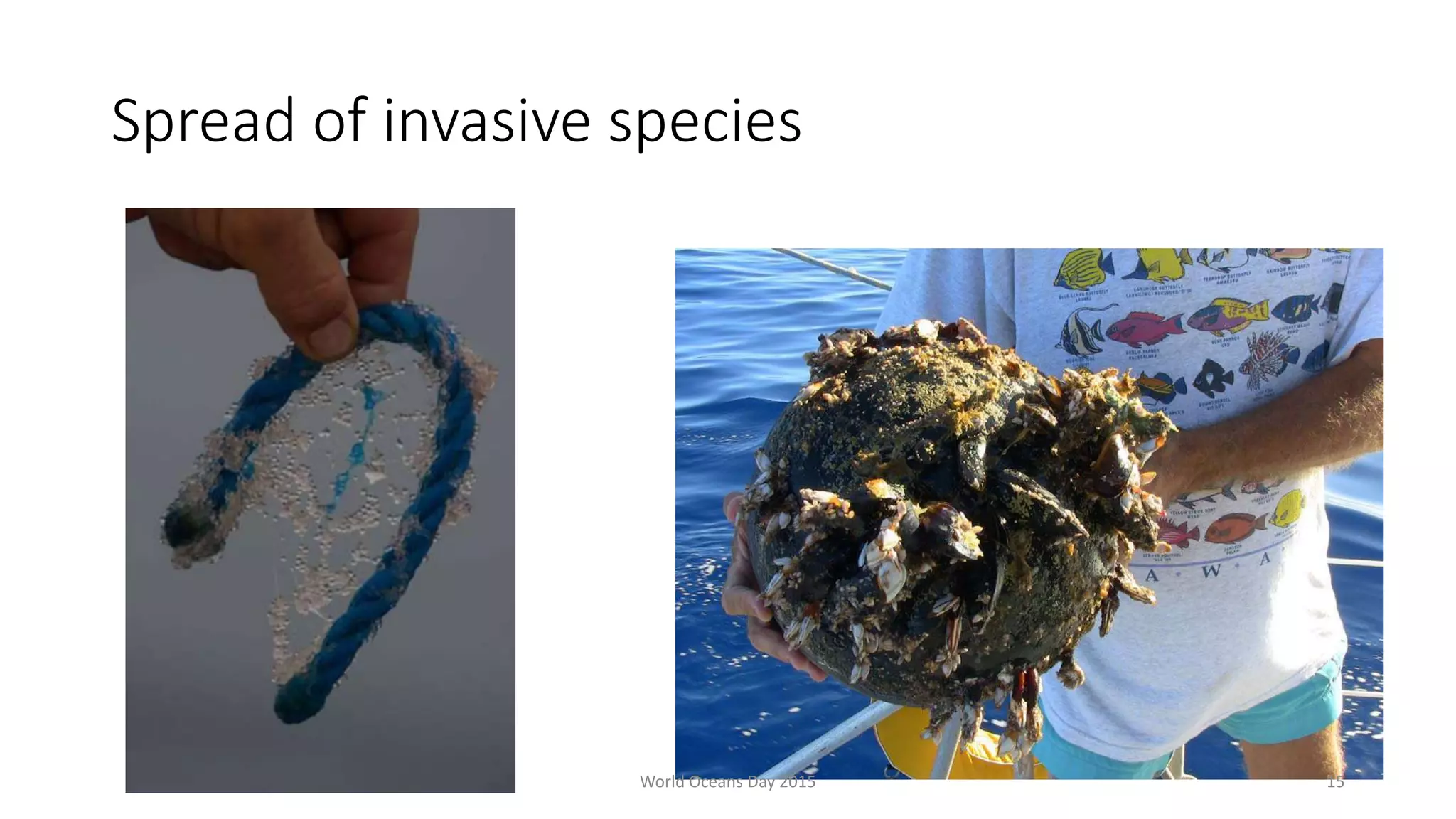Spread of invasive species
World Oceans Day 2015 15
 