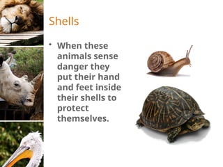 Chapter 7 World of Animals Grade 4.pptx