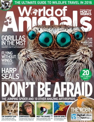 World of animals_issue_28
