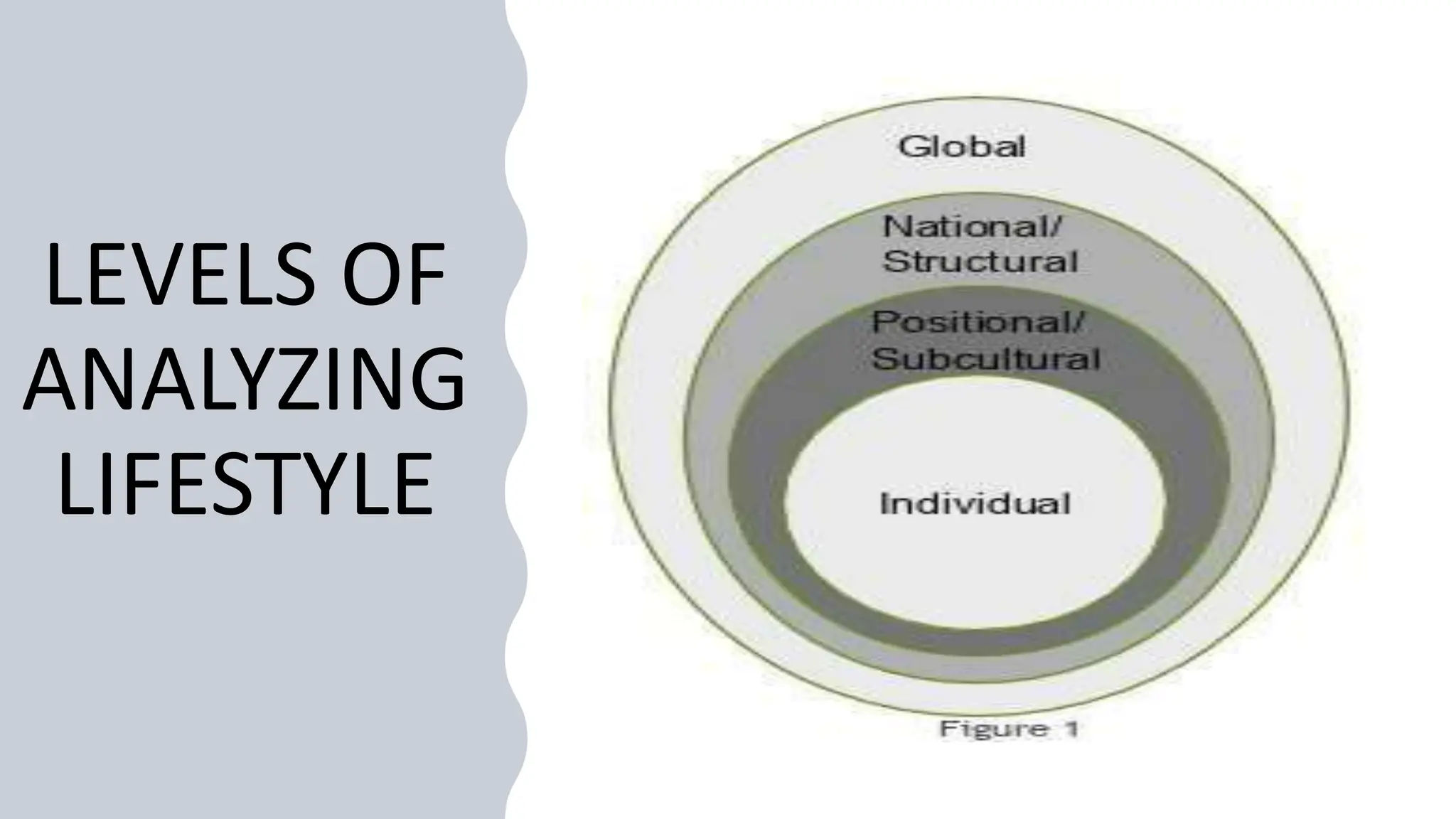 LEVELS OF
ANALYZING
LIFESTYLE
 