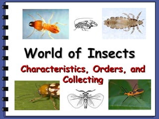 World of InsectsWorld of Insects
Characteristics, Orders, andCharacteristics, Orders, and
CollectingCollecting
 
