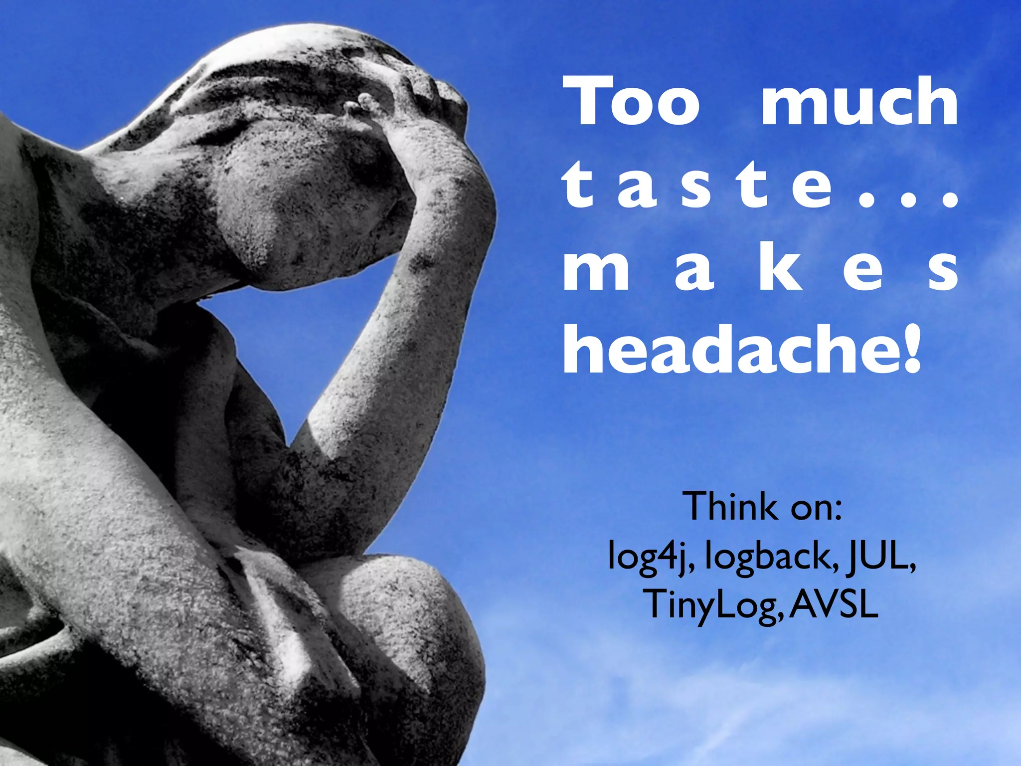 Too much
taste...
m a k e s
headache!

     Think on:
 log4j, logback, JUL,
   TinyLog, AVSL
 