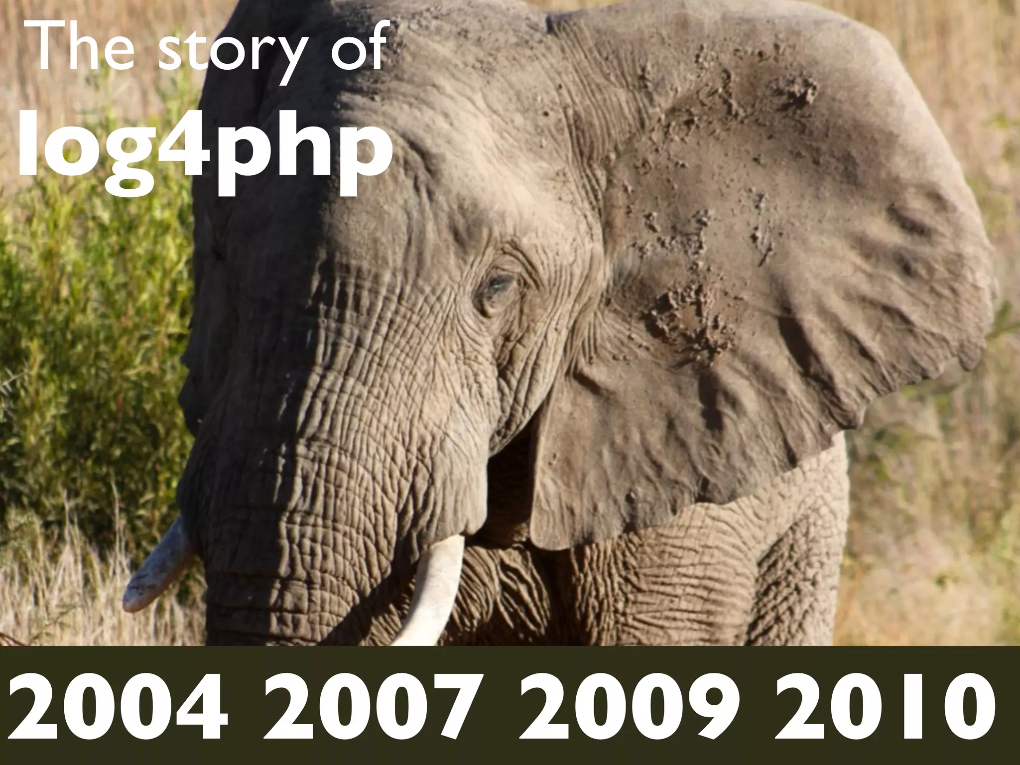 The story of
log4php




2004 2007 2009 2010
 