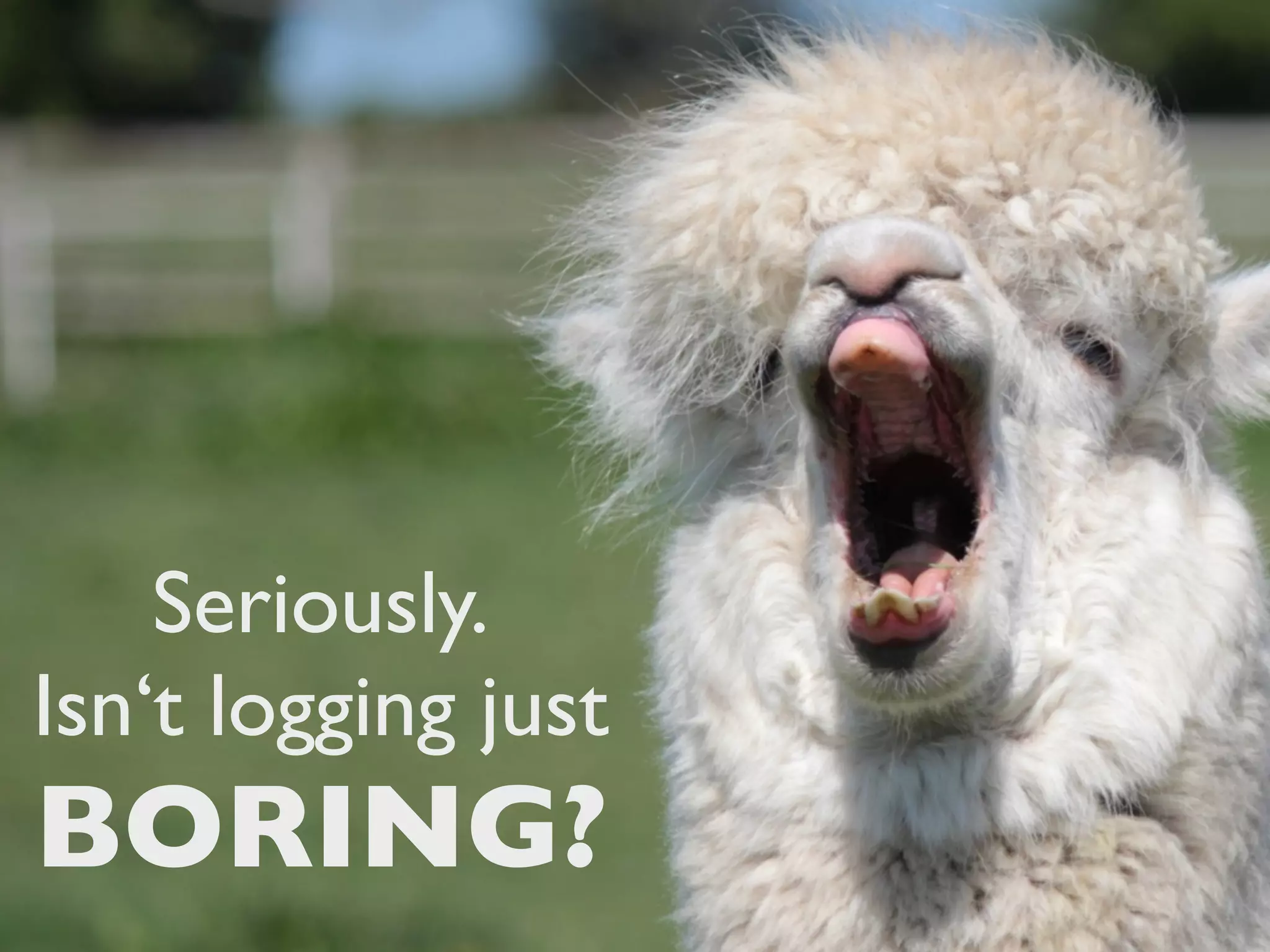 Seriously.
Isn‘t logging just
BORING?
 