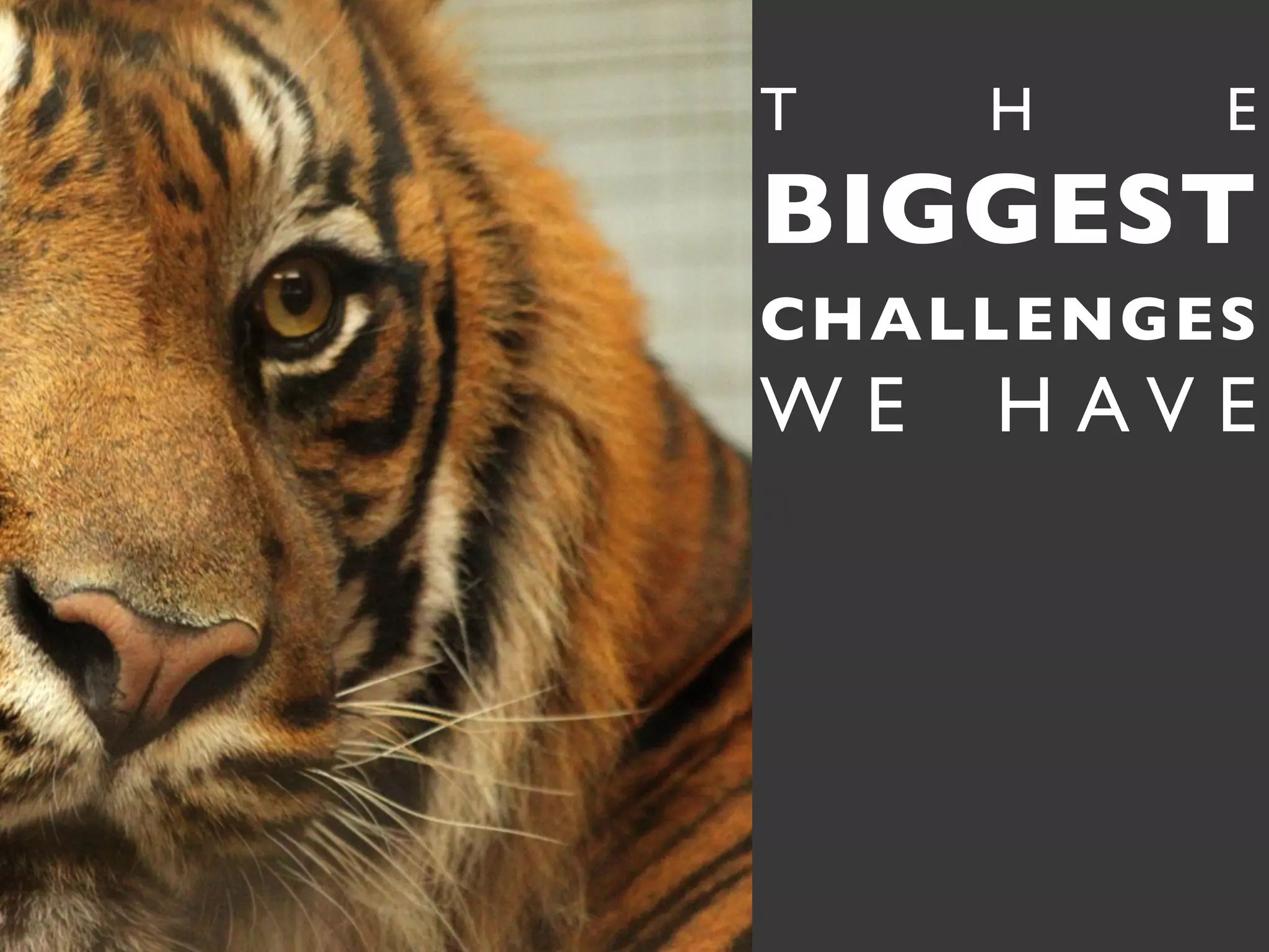 T    H    E
BIGGEST
CHALLENGES
WE   H AV E
a
 