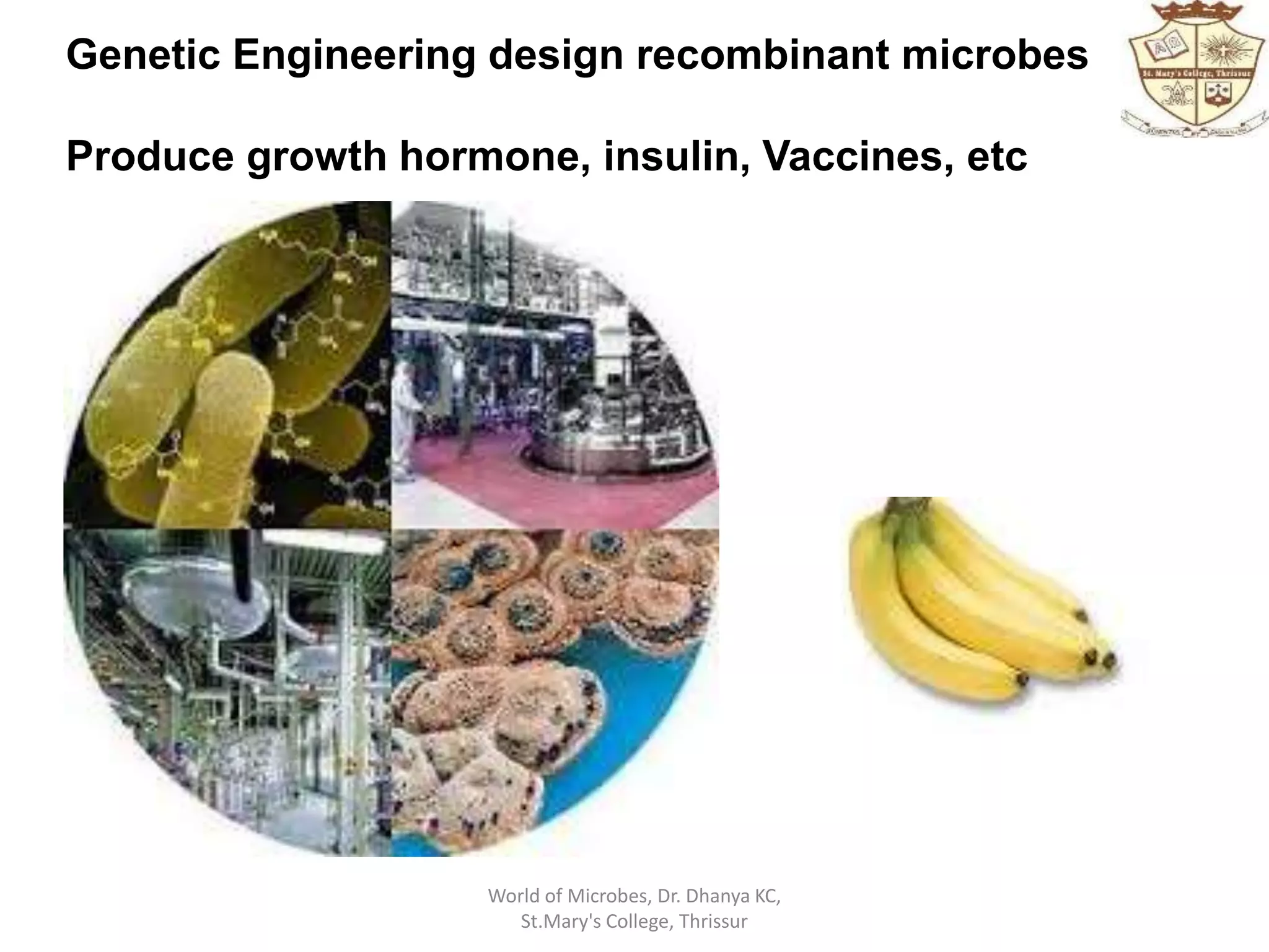 Genetic Engineering design recombinant microbes
Produce growth hormone, insulin, Vaccines, etc
World of Microbes, Dr. Dhanya KC,
St.Mary's College, Thrissur
 