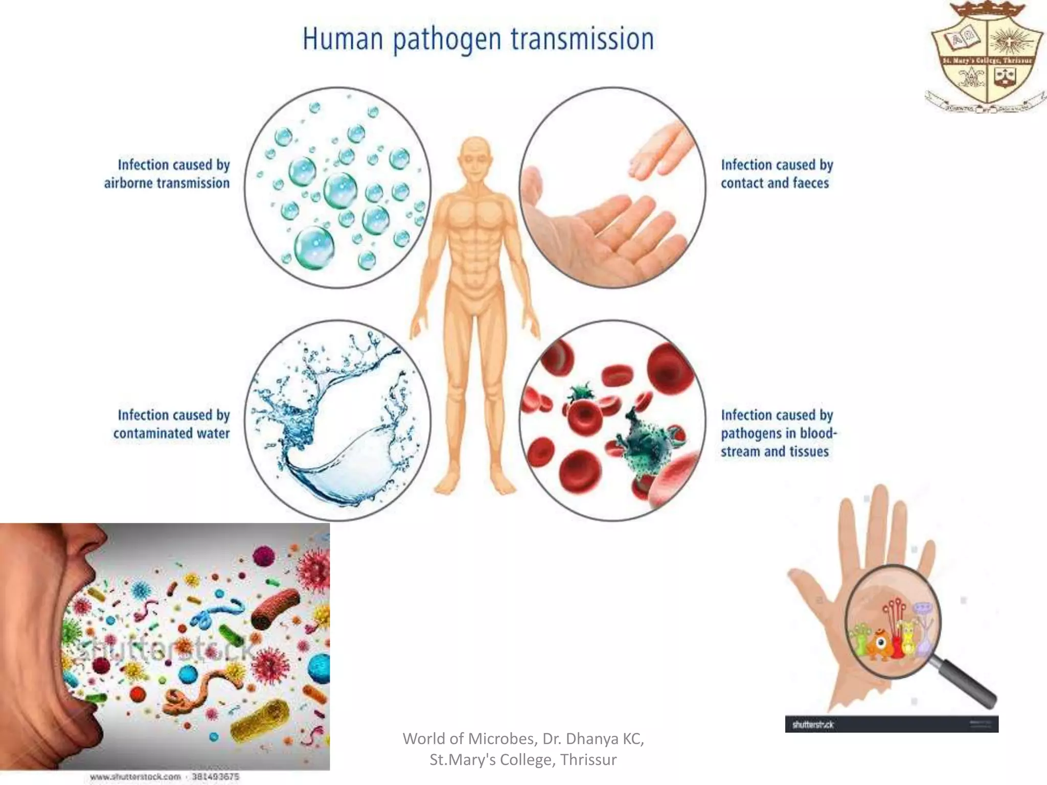 World of Microbes, Dr. Dhanya KC,
St.Mary's College, Thrissur
 