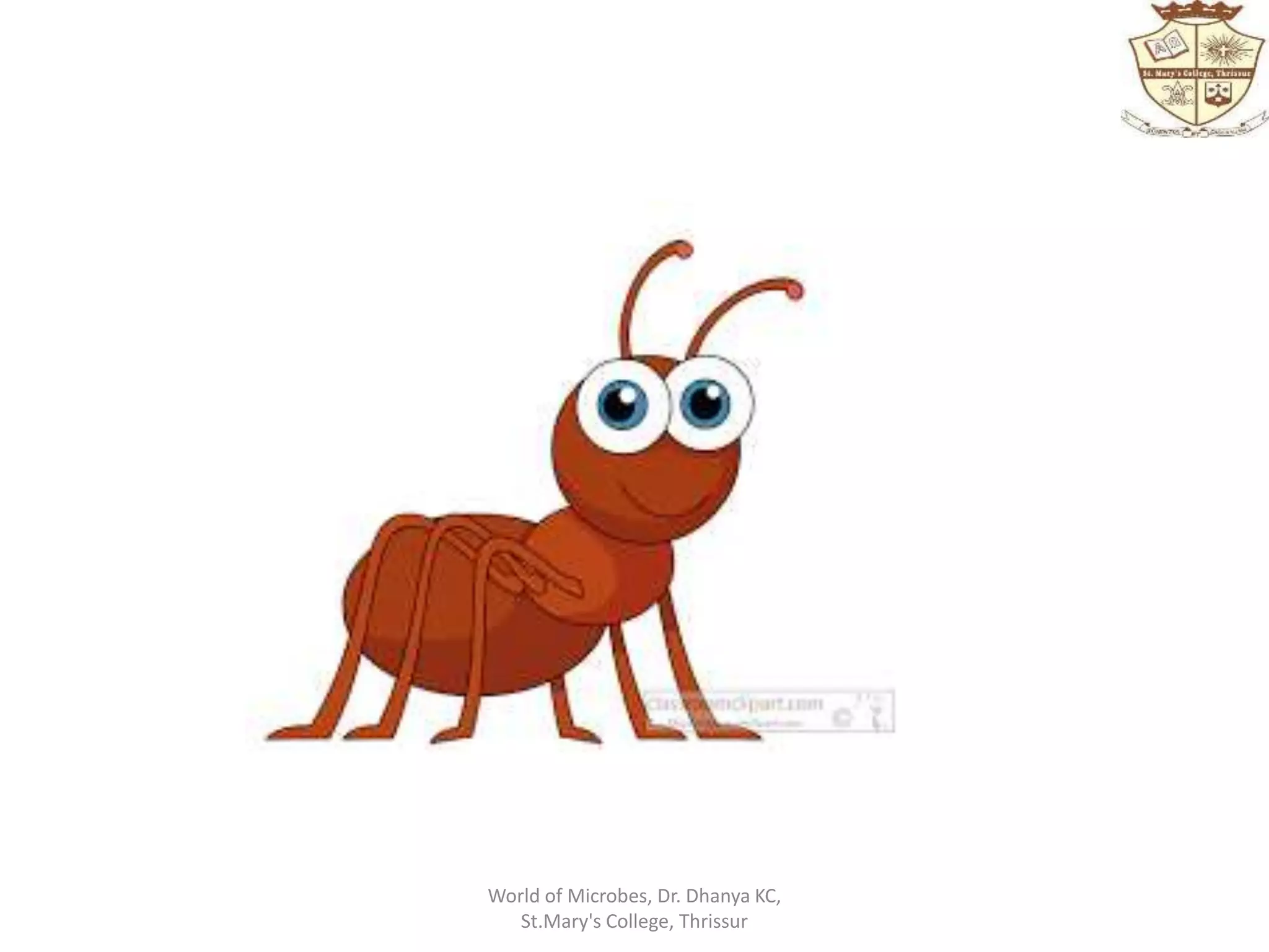 World of Microbes, Dr. Dhanya KC,
St.Mary's College, Thrissur
 