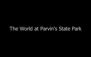 World Of Parvins State Park