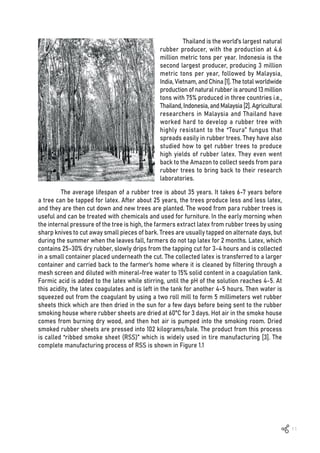11
Thailand is the world’s largest natural
rubber producer, with the production at 4.6
million metric tons per year. Indonesia is the
second largest producer, producing 3 million
metric tons per year, followed by Malaysia,
India, Vietnam, and China [1]. The total worldwide
production of natural rubber is around 13 million
tons with 75% produced in three countries i.e.,
Thailand,Indonesia,andMalaysia[2].Agricultural
researchers in Malaysia and Thailand have
worked hard to develop a rubber tree with
highly resistant to the “Toura” fungus that
spreads easily in rubber trees. They have also
studied how to get rubber trees to produce
high yields of rubber latex. They even went
back to the Amazon to collect seeds from para
rubber trees to bring back to their research
laboratories.
The average lifespan of a rubber tree is about 35 years. It takes 6-7 years before
a tree can be tapped for latex. After about 25 years, the trees produce less and less latex,
and they are then cut down and new trees are planted. The wood from para rubber trees is
useful and can be treated with chemicals and used for furniture. In the early morning when
the internal pressure of the tree is high, the farmers extract latex from rubber trees by using
sharp knives to cut away small pieces of bark. Trees are usually tapped on alternate days, but
during the summer when the leaves fall, farmers do not tap latex for 2 months. Latex, which
contains 25-30% dry rubber, slowly drips from the tapping cut for 3-4 hours and is collected
in a small container placed underneath the cut. The collected latex is transferred to a larger
container and carried back to the farmer’s home where it is cleaned by filtering through a
mesh screen and diluted with mineral-free water to 15% solid content in a coagulation tank.
Formic acid is added to the latex while stirring, until the pH of the solution reaches 4-5. At
this acidity, the latex coagulates and is left in the tank for another 4-5 hours. Then water is
squeezed out from the coagulant by using a two roll mill to form 5 millimeters wet rubber
sheets thick which are then dried in the sun for a few days before being sent to the rubber
smoking house where rubber sheets are dried at 60°C for 3 days. Hot air in the smoke house
comes from burning dry wood, and then hot air is pumped into the smoking room. Dried
smoked rubber sheets are pressed into 102 kilograms/bale. The product from this process
is called “ribbed smoke sheet (RSS)” which is widely used in tire manufacturing [3]. The
complete manufacturing process of RSS is shown in Figure 1.1
 