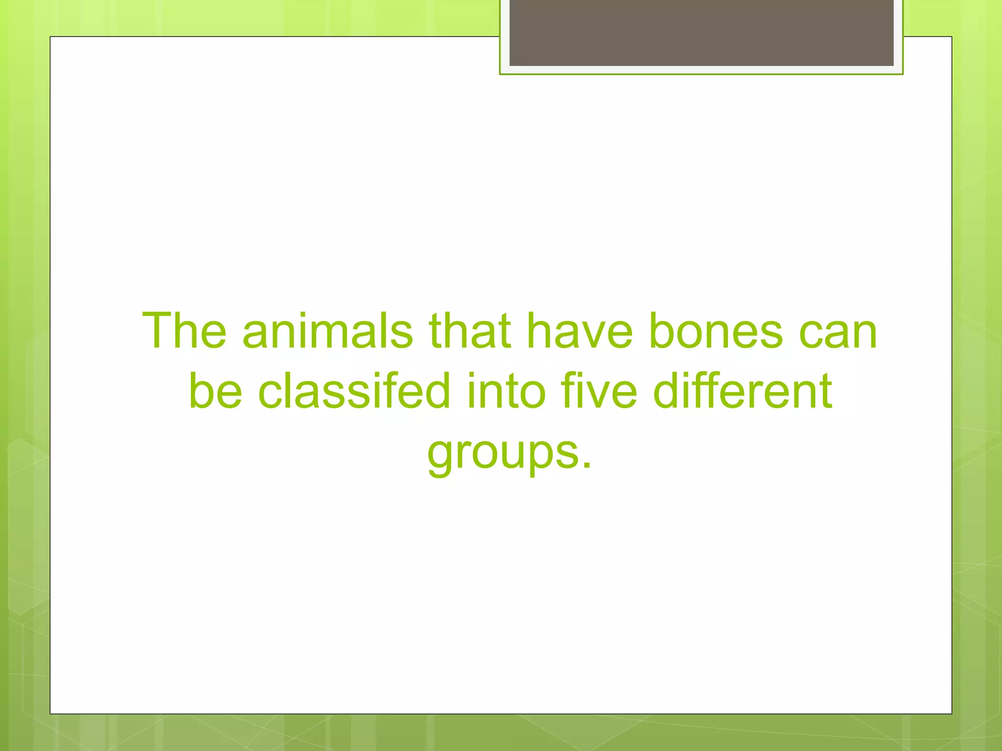 The animals that have bones can
be classifed into five different
groups.