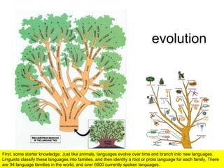 evolution First, some starter knowledge. Just like animals, languages evolve over time and branch into new languages. Ling...