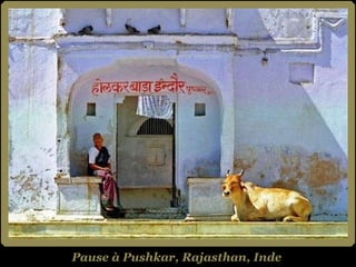 Pause à Pushkar, Rajasthan, Inde 