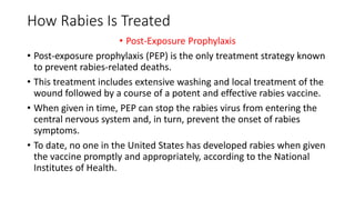 Rabies- World rabies day | PPTX