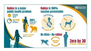 Rabies- World rabies day | PPTX