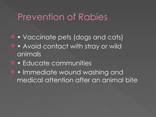 World_Rabies_Day_Presentation.pptx for awareness | PPTX