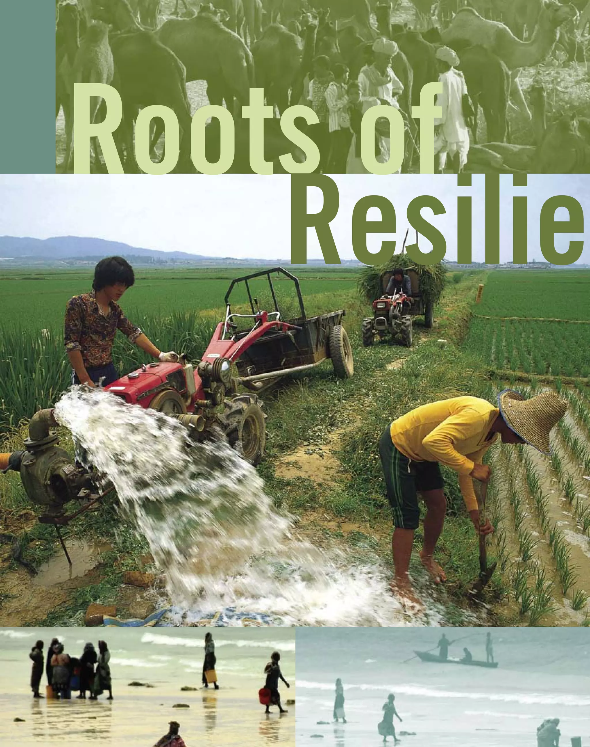 Roots of
Resilie
 