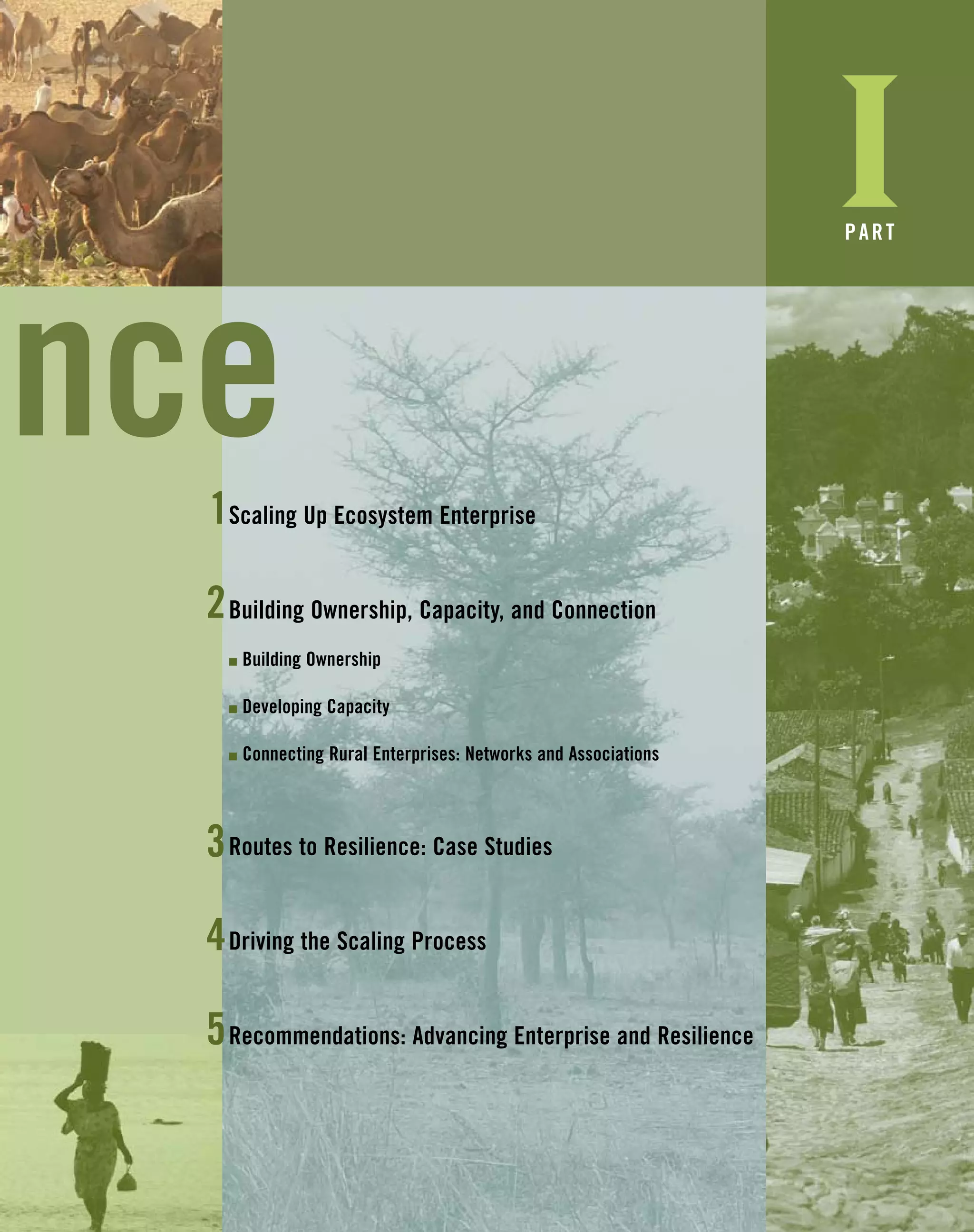 I
nce
PART
2
3
5
Scaling Up Ecosystem Enterprise
Building Ownership, Capacity, and Connection
I Building Ownership
I Developing Capacity
I Connecting Rural Enterprises: Networks and Associations
Routes to Resilience: Case Studies
Driving the Scaling Process
Recommendations: Advancing Enterprise and Resilience
1
4
 