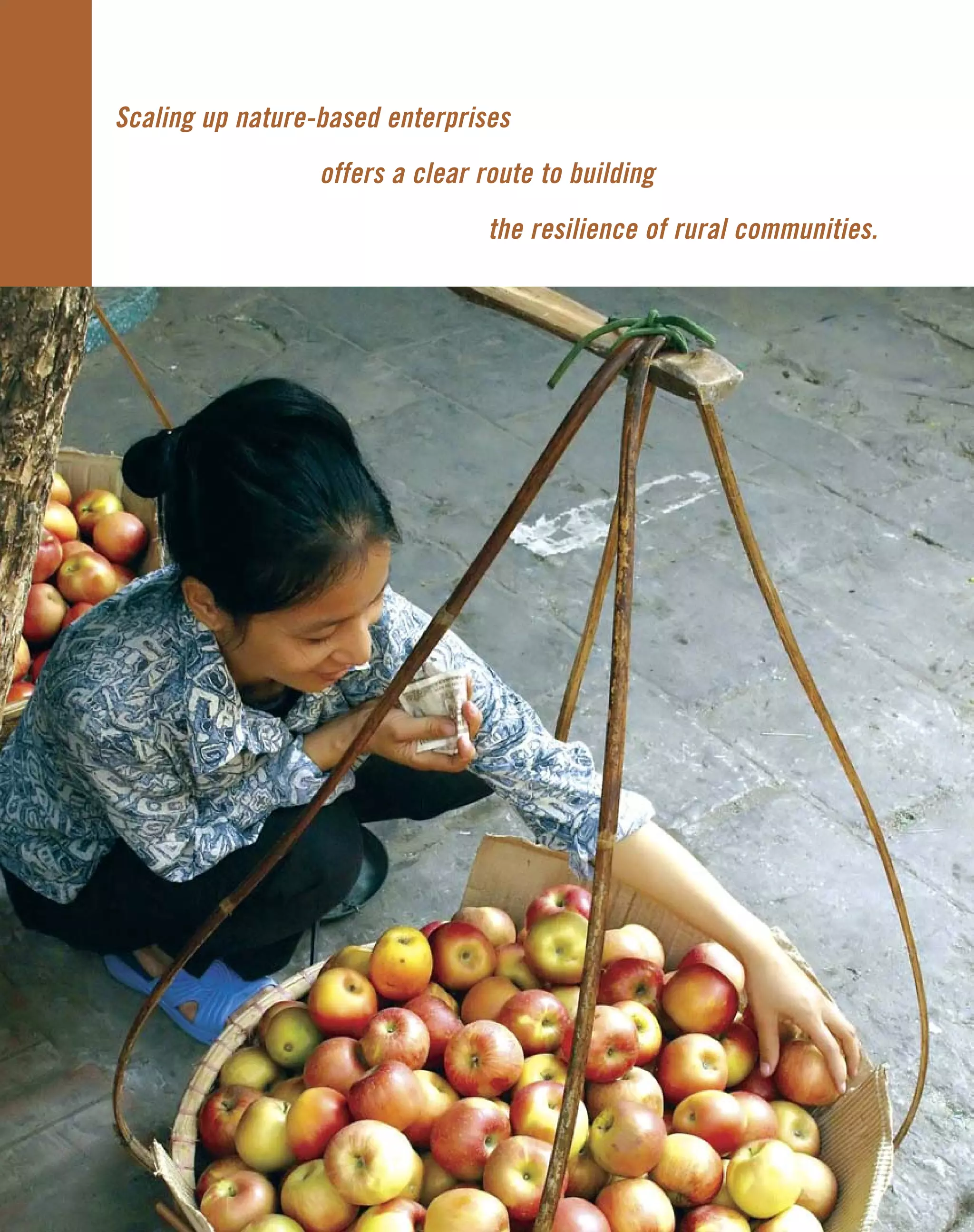 2
Scaling up nature-based enterprises
offers a clear route to building
the resilience of rural communities.
 