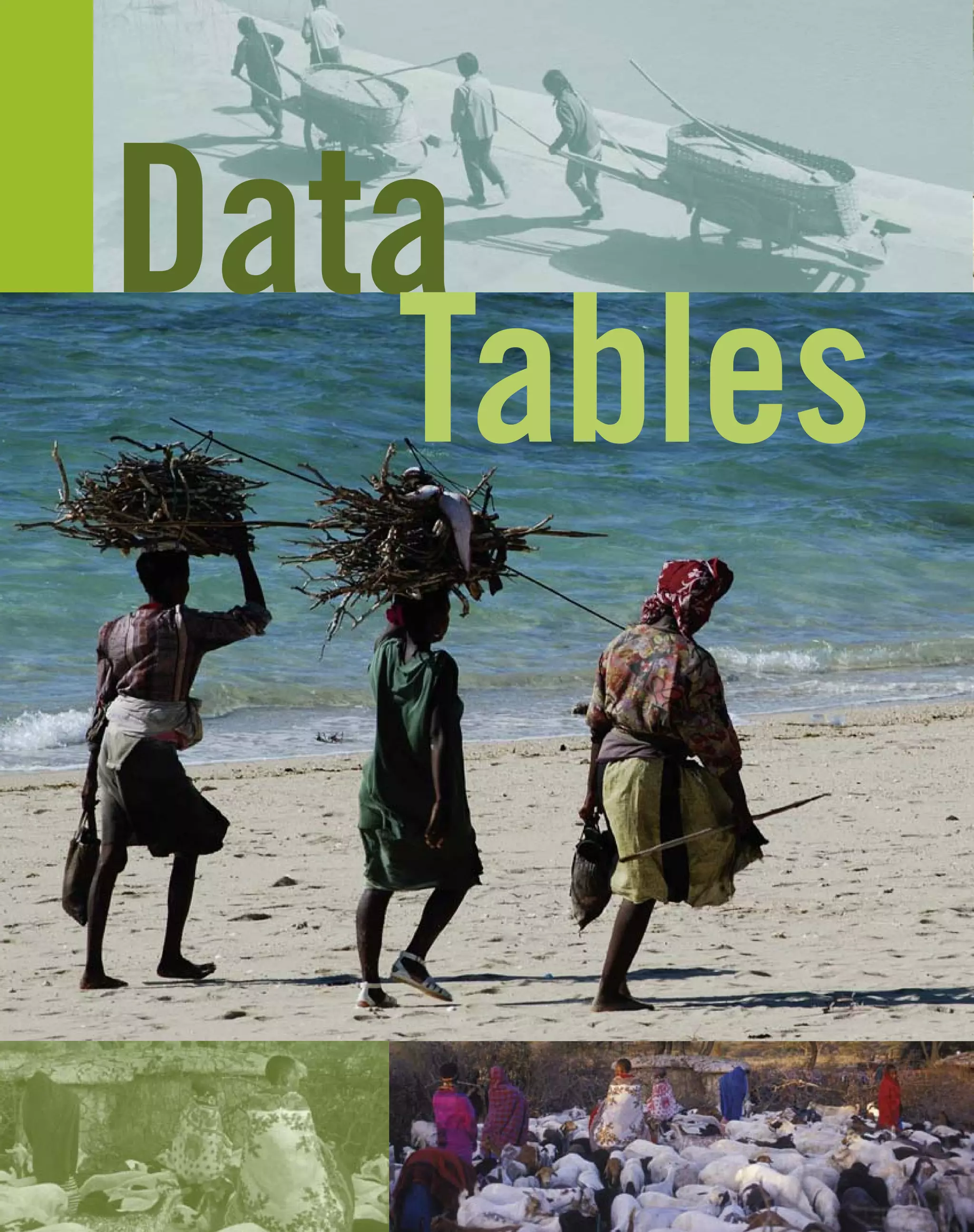 Data
Tables
 