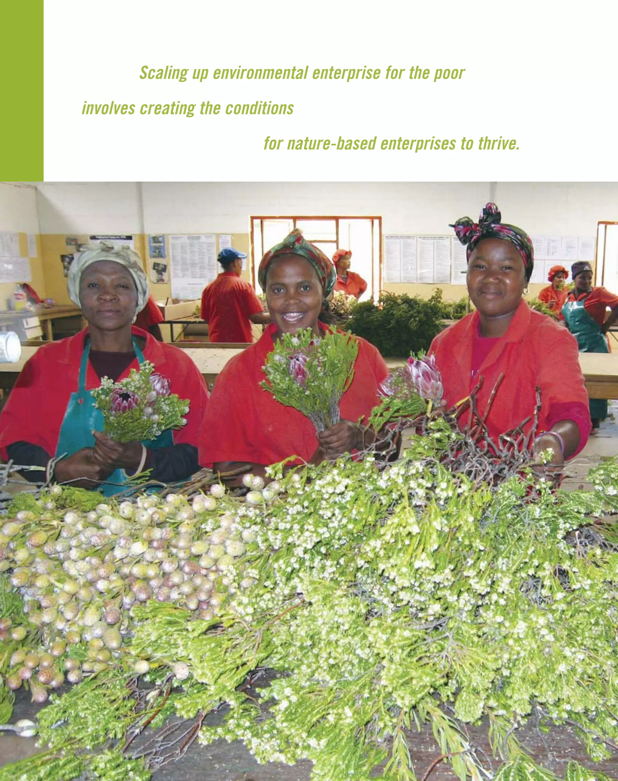 Scaling up environmental enterprise for the poor
involves creating the conditions
for nature-based enterprises to thrive.
 