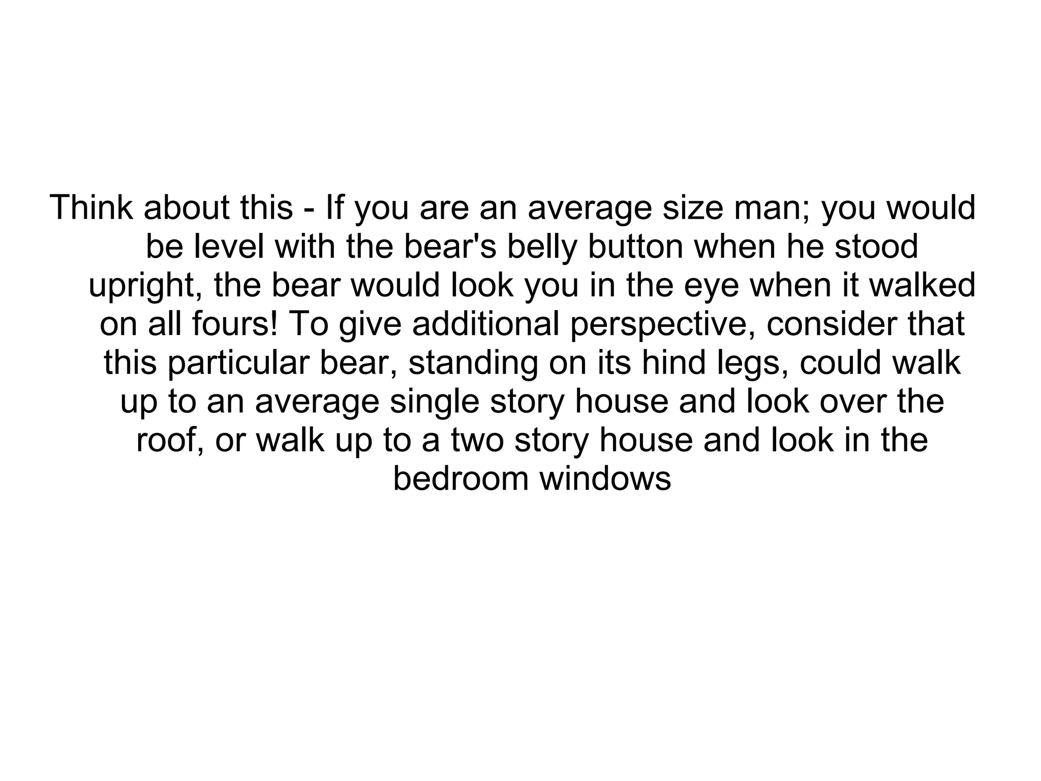 Think about this - If you are an average size man; you would be level with the bear's belly button when he stood upright, the bear would look you in the eye when it walked on all fours! To give additional perspective, consider that this particular bear, standing on its hind legs, could walk up to an average single story house and look over the roof, or walk up to a two story house and look in the bedroom windows 