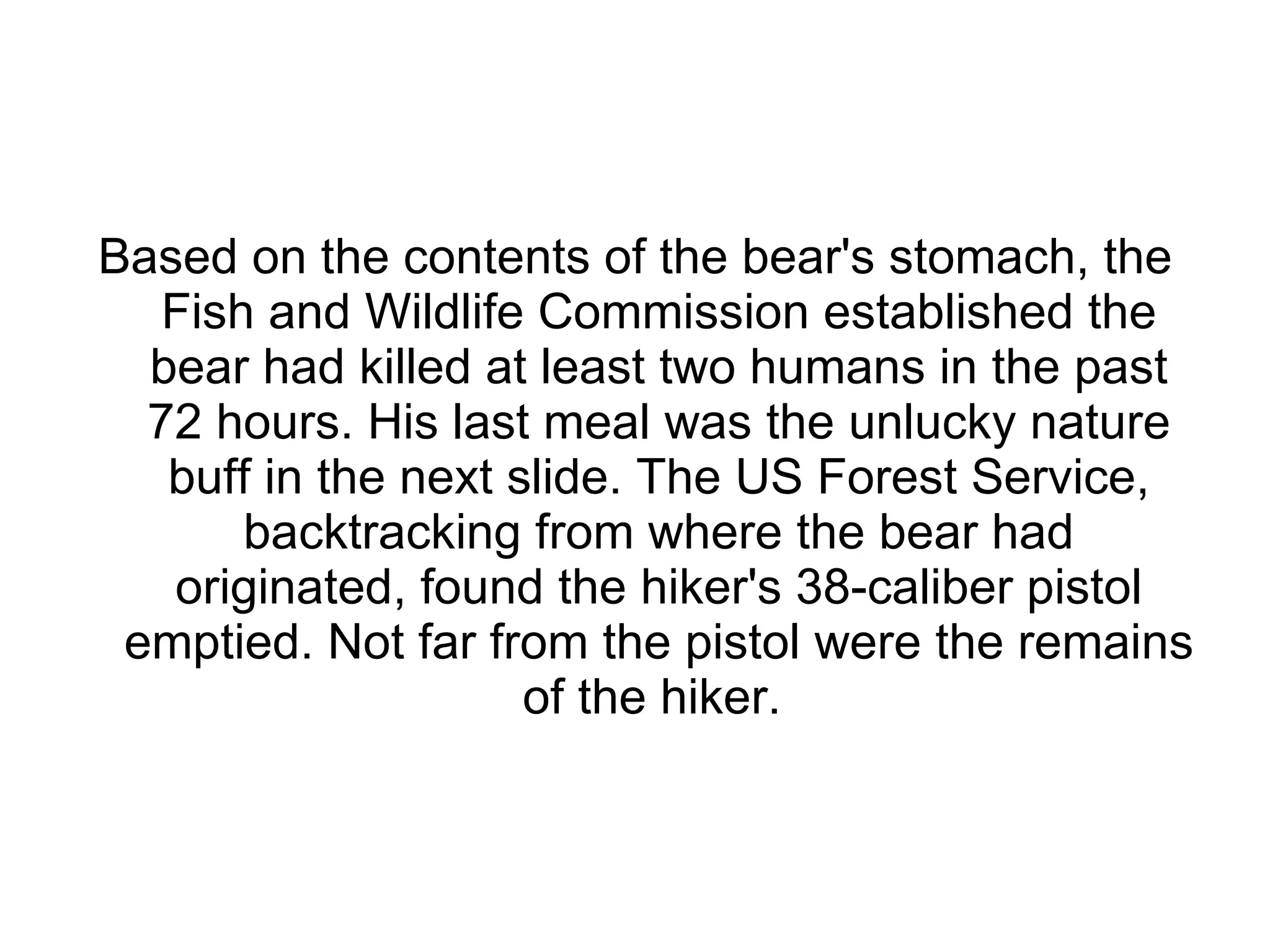 Based on the contents of the bear's stomach, the Fish and Wildlife Commission established the bear had killed at least two humans in the past 72 hours. His last meal was the unlucky nature buff in the next slide. The US Forest Service, backtracking from where the bear had originated, found the hiker's 38-caliber pistol emptied. Not far from the pistol were the remains of the hiker.  