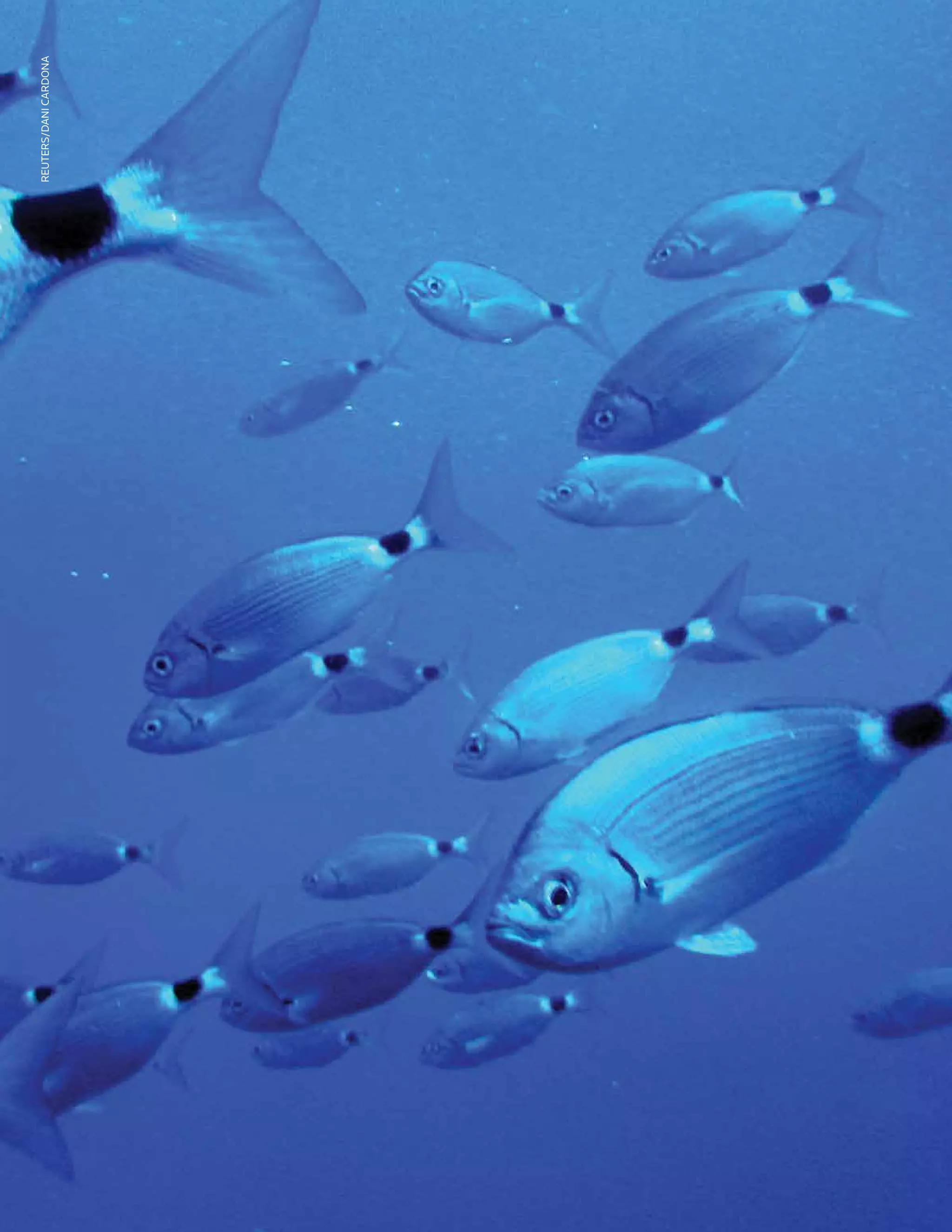 BiologyBiochemistry
12
Reuters/DaniCardona
 