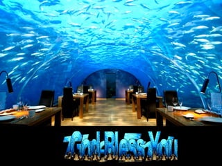 The End
God Bless You
 