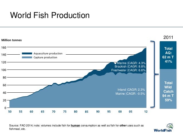 Fisheries and aquaculture in the developing world: A research agenda