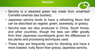 Sencha
• Sencha is a steamed green tea made from small-leaf
Camellia sinensis (tea bushes).
• Japanese sencha tends to have a refreshing flavor that
can be described as vegetal, green, seaweedy, or grassy.
• Sencha teas are also produced in China, South Korea,
and other countries, though the teas can differ greatly
from their Japanese counterparts given the differences in
tea plants and processing techniques used.
• These teas are frequently used for blending and have a
more toasted, nutty flavor than grassy Japanese sencha.
 