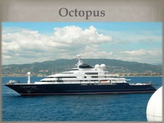 Octopus