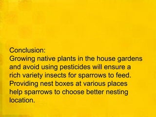Conclusion:Growing native plants in the house gardensand avoid using pesticides will ensure arich variety insects for sparrows to feed.Providing nest boxes at various placeshelp sparrows to choose better nestinglocation.