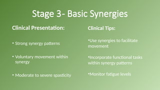 Synergy Patterna world stroke day an ultimate guideline for Physio (class presentation ...