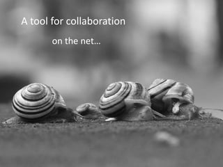 A tool for collaborationon the net…snailsome by chaosinjune CC (by)
