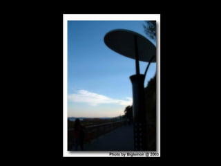 World Through The Lens