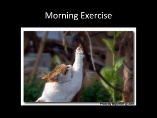 Morning Exercise
 