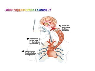 World tobacco day