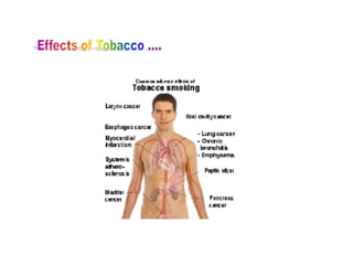 World tobacco day