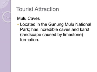 Tourist Attraction
Mulu Caves
 Located in the Gunung Mulu National
Park; has incredible caves and karst
(landscape caused by limestone)
formation.
 
