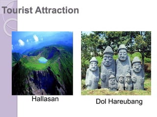 Hallasan Dol Hareubang
Tourist Attraction
 