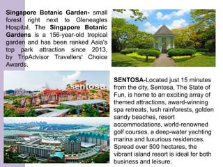 Singapore Botanic Garden- small
forest right next to Gleneagles
Hospital. The Singapore Botanic
Gardens is a 156-year-old tropical
garden and has been ranked Asia's
top park attraction since 2013,
by TripAdvisor Travellers' Choice
Awards.
SENTOSA-Located just 15 minutes
from the city, Sentosa, The State of
Fun, is home to an exciting array of
themed attractions, award-winning
spa retreats, lush rainforests, golden
sandy beaches, resort
accommodations, world-renowned
golf courses, a deep-water yachting
marina and luxurious residences.
Spread over 500 hectares, the
vibrant island resort is ideal for both
business and leisure.
 