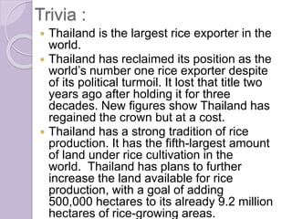 Trivia :
 Thailand is the largest rice exporter in the
world.
 Thailand has reclaimed its position as the
world’s number one rice exporter despite
of its political turmoil. It lost that title two
years ago after holding it for three
decades. New figures show Thailand has
regained the crown but at a cost.
 Thailand has a strong tradition of rice
production. It has the fifth-largest amount
of land under rice cultivation in the
world. Thailand has plans to further
increase the land available for rice
production, with a goal of adding
500,000 hectares to its already 9.2 million
hectares of rice-growing areas.
 