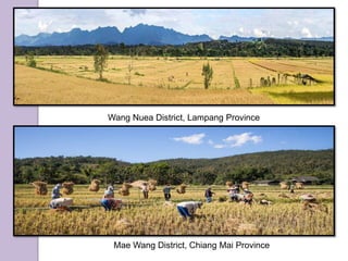 Wang Nuea District, Lampang Province
Mae Wang District, Chiang Mai Province
 