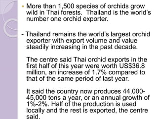  More than 1,500 species of orchids grow
wild in Thai forests. Thailand is the world’s
number one orchid exporter.
- Thailand remains the world’s largest orchid
exporter with export volume and value
steadily increasing in the past decade.
The centre said Thai orchid exports in the
first half of this year were worth US$36.8
million, an increase of 1.7% compared to
that of the same period of last year.
It said the country now produces 44,000-
45,000 tons a year, or an annual growth of
1%-2%. Half of the production is used
locally and the rest is exported, the centre
said.
 