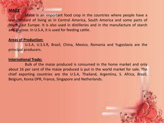 MAIZE
         Maize is an important food crop in the countries where people have a
low standard of living as in Central America, South America and some parts of
South-East Europe. It is also used in distilleries and in the manufacture of starch
and glucose. In U.S.A, it is used for feeding cattle.

Areas of Production:
          U.S.A, U.S.S.R, Brazil, China, Mexico, Romania and Yugoslavia are the
principal producers.

International Trade:
          Bulk of the maize produced is consumed in the home market and only
about 16 per cent of the maize produced is put in the world market for sale. The
chief exporting countries are the U.S.A, Thailand, Argentina, S. Africa, Brazil,
Belgium, Korea DPR, France, Singapore and Netherlands.
 