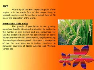 RICE
           Rice is by far the most important grain of the
tropics. It is the staple food of the people living in
tropical countries and forms the principal food of 50
p.c. of the population of the world.

International Trade in Rice
          The growth of population in rice growing
areas has directly stimulated production by adding to
the number of rice farmers and also consumers. Far
East has evidenced a rise in rice consumption of about
40 percent over the last twenty years, largely reflecting
the steady population growth. Per capita consumption
of rice has also gone up in various countries. In
industrial countries of North America and Western
Europe etc.
 