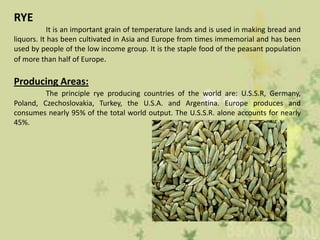 RYE
           It is an important grain of temperature lands and is used in making bread and
liquors. It has been cultivated in Asia and Europe from times immemorial and has been
used by people of the low income group. It is the staple food of the peasant population
of more than half of Europe.

Producing Areas:
         The principle rye producing countries of the world are: U.S.S.R, Germany,
Poland, Czechoslovakia, Turkey, the U.S.A. and Argentina. Europe produces and
consumes nearly 95% of the total world output. The U.S.S.R. alone accounts for nearly
45%.
 