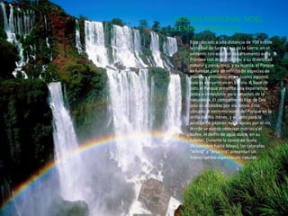 PAEQUE NACIONAL NOEL
KEMPFF MERCADO
Esta ubicado a una distancia de 700 km de
la ciudad de Santa Cruz de la Sierra, en el
extremo nor-este del departamento en la
frontera con Brasil. Gracias a su diversidad
natural y paisajística, y su lejanía, el Parque
es hábitat para un infinito de especias de
plantas y animales, entre cuales algunos
solo se encuentran en Bolivia. A base de
esto el Parque presenta una experiencia
única e inolvidable para amantes de la
naturaleza. El campamento Flor de Oro
solo es accesible por vía aérea. Esta
ubicado al extremo norte del Parque en la
orilla del Río Iténez, y es apto para la
avistaje de pájaros, excursiones por el rio,
donde se puede observar nutrias y el
bufeo, el delfín de agua dulce, en su
hábitat. Durante la época de lluvia
(Noviembre hasta Mayo), las cataratas
"Alfeld" y "Arco Iris" presentan un
indescriptible espectáculo natural.
 